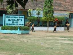 Demi WIL, Guru SDN Slamet Rejo Buat Pengakuan Palsu